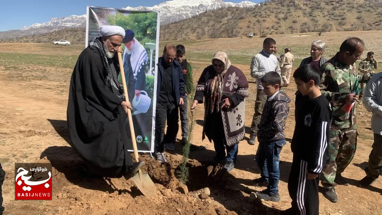 سرو ایران در خاک کهگیلویه و بویراحمد کاشته شد