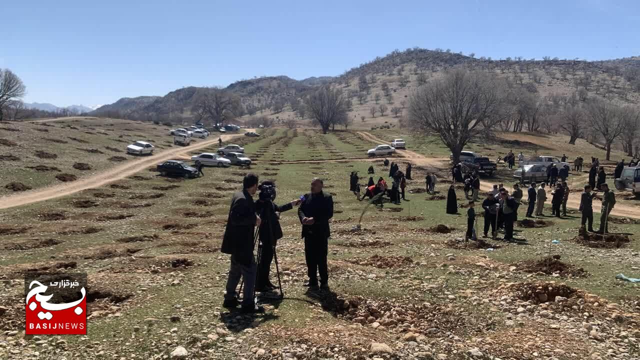 سرو ایران در خاک کهگیلویه و بویراحمد کاشته شد