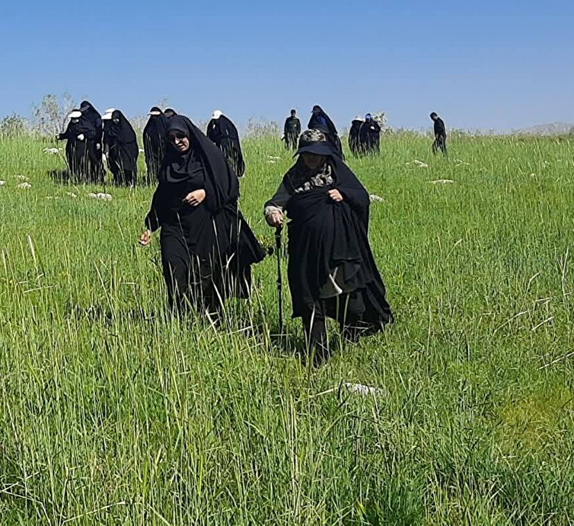 کوهنوردی کارکنان خواهر شاغل درسپاه فتح + ( فیلم و تصاویر)