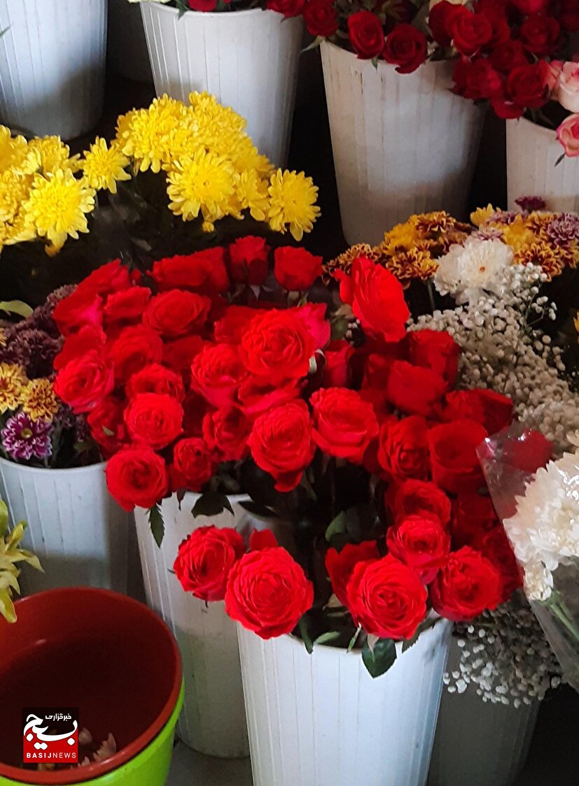 کار آفرینی جوان بیکار شوشتری با فروش گل وگیاه های زینتی