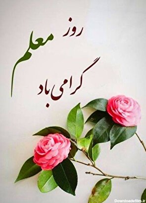 طی پیامی روز معلم را تبریک گفت