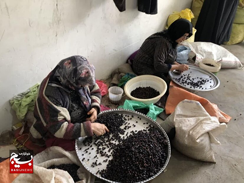 اعطای ۲۰۰ وام اشتغال زایی به بانوان روستای قره چبق بناب