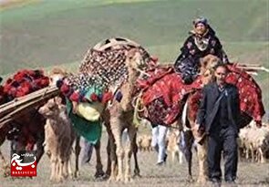 آلاچیق و کوچ برتر عشایری انتخاب می‌شوند