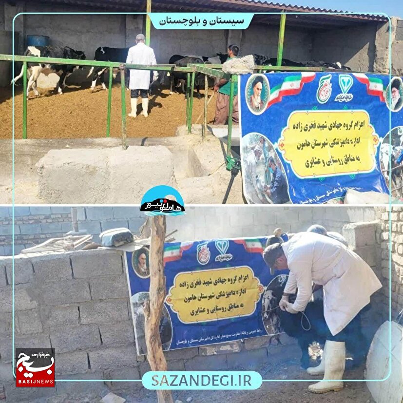 واکسیناسیون و سمپاشی دام های روستاییان شهرستان هامون در هفته بسیج سازندگی انجام شد