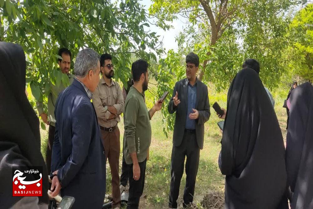کمبود ظرفیت مراتع در شهرستان ملایر و چرای بی‌رویه