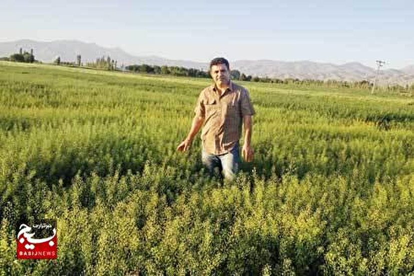 از تامین سوخت جت تا خودکفایی در تامین روغن کشور توسط مبتکر بسیجی کرمانشاهی