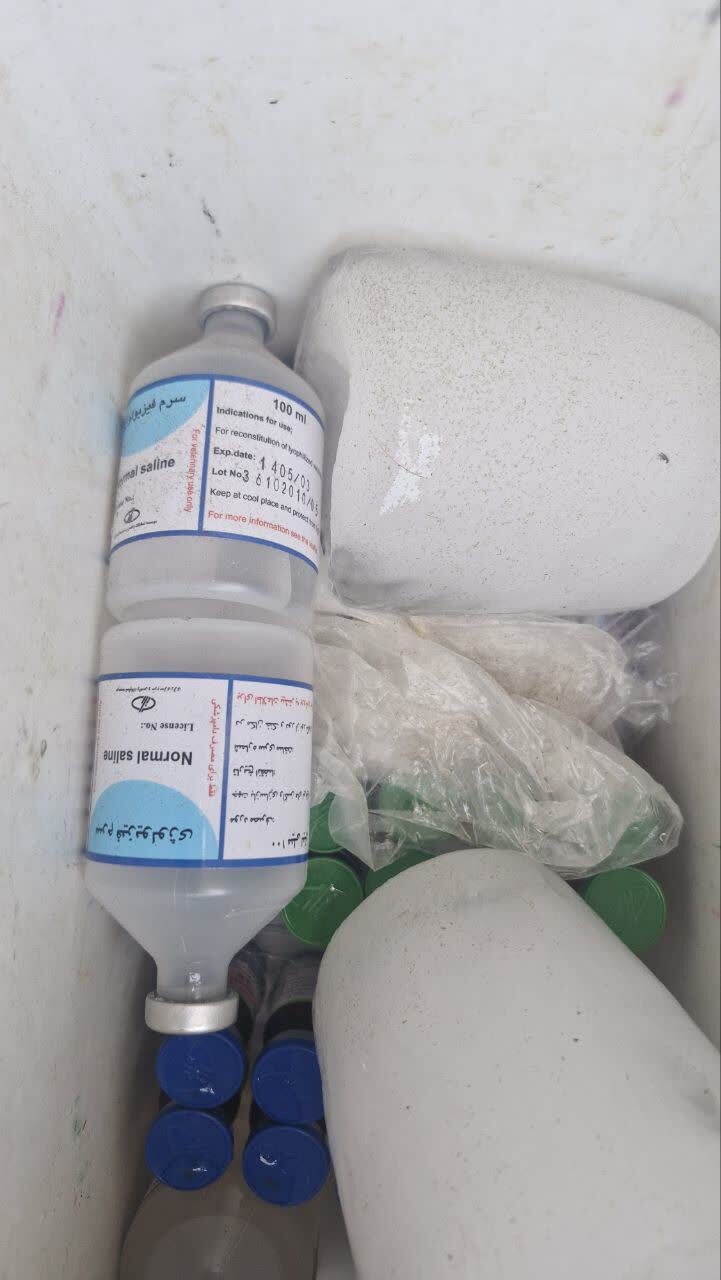 واکسیناسیون هفت هزار دام و طیور توسط جهادگران بسیجی در باشت