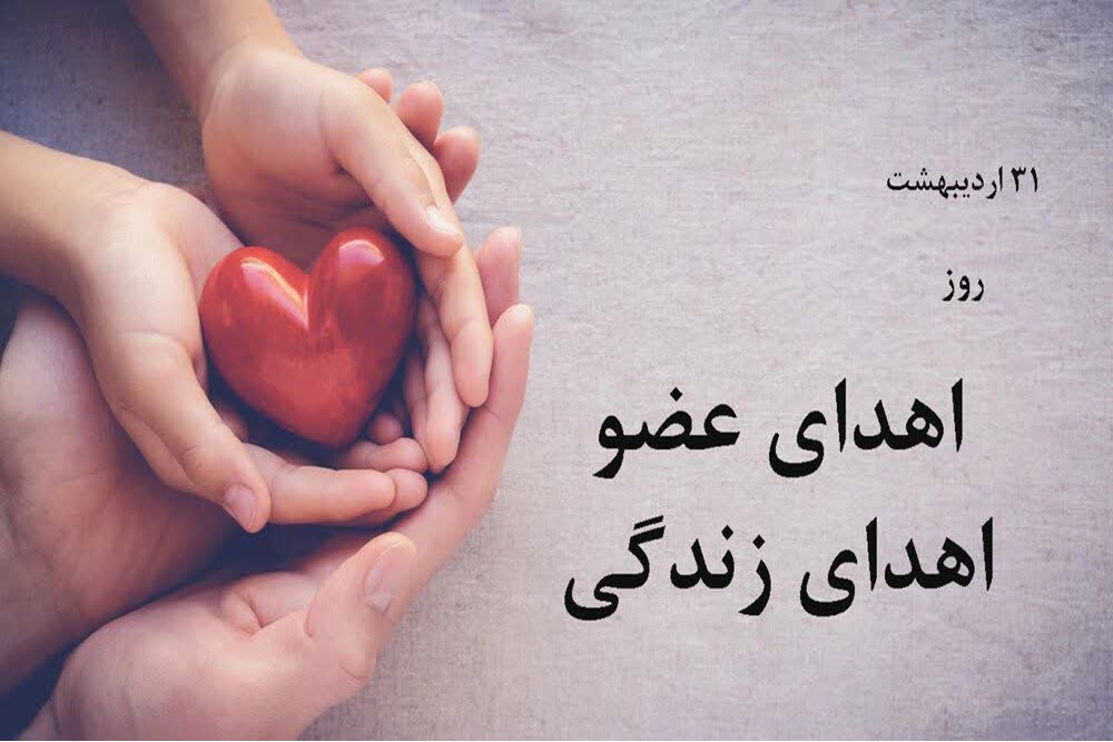 زندگی در امتداد انسانیت
