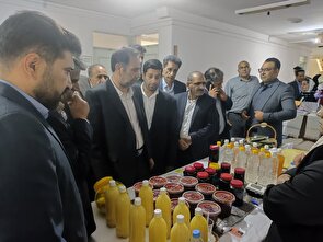 نمایشگاه ویژه هفته مشاغل استان سیستان و بلوچستان