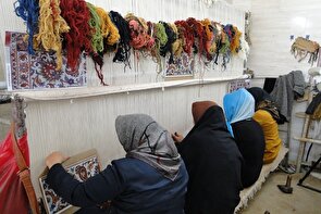 موتور اقتصاد خانگی با دست زنان می‌چرخد