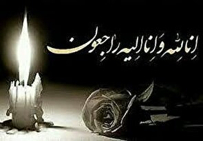 در پی شهادت  دکتر محمدمهدی طهرانچی در حمله صهیونیستی؛ جامعه علمی ایران سوگوار خادمی صدیق شد