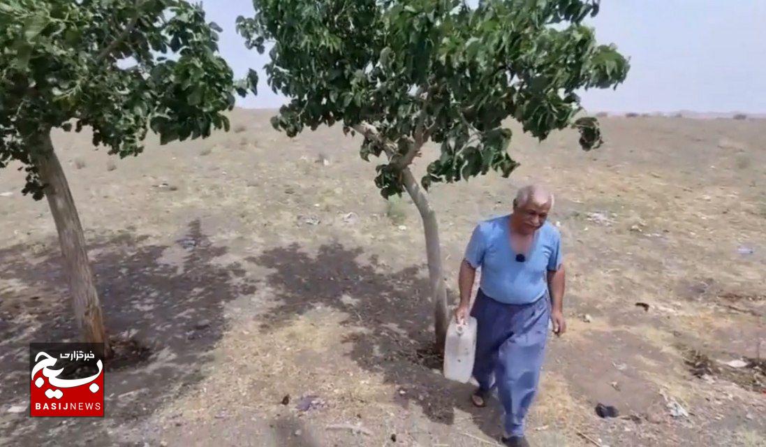 وقتی یک راننده خاور، همیار طبیعت می شود! / روایت مردی که جاده را آبیاری می‌کند