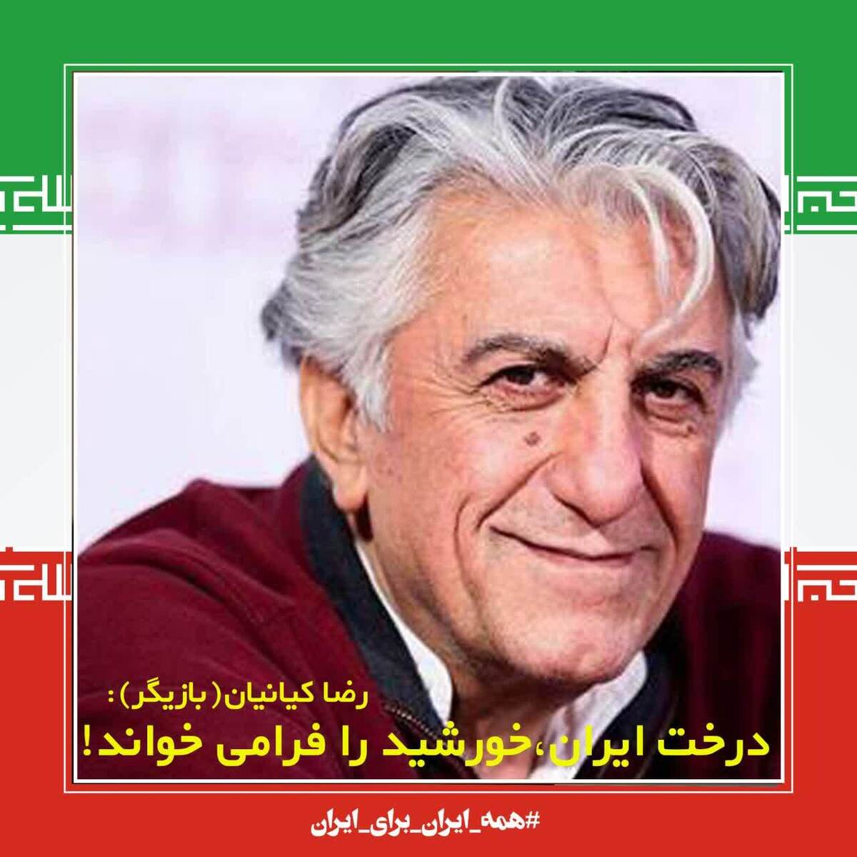 درخت ایران خورشید را فرامی خواند!