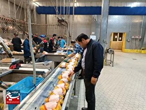 درخواست از وزیر برای صادارت آرتا پروتئین اردبیل