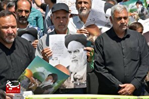 مردم مه‌ولات پای کار انقلاب