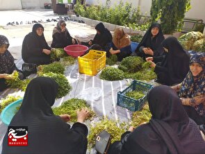  جهاد خواهران بسیجی کوثر برای اطعام زائران اربعین حسینی