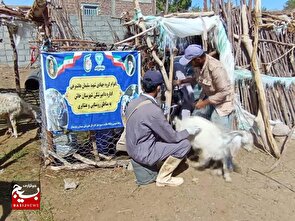برگزاری اردوی جهادی دامپزشکی در مناطق عشایری شهرستان خاش