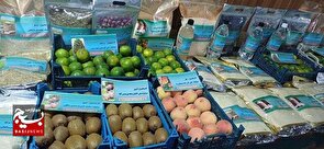 بازار پسندی داخلی و خارجی تولیدات زراعی سیستان و بلوچستان