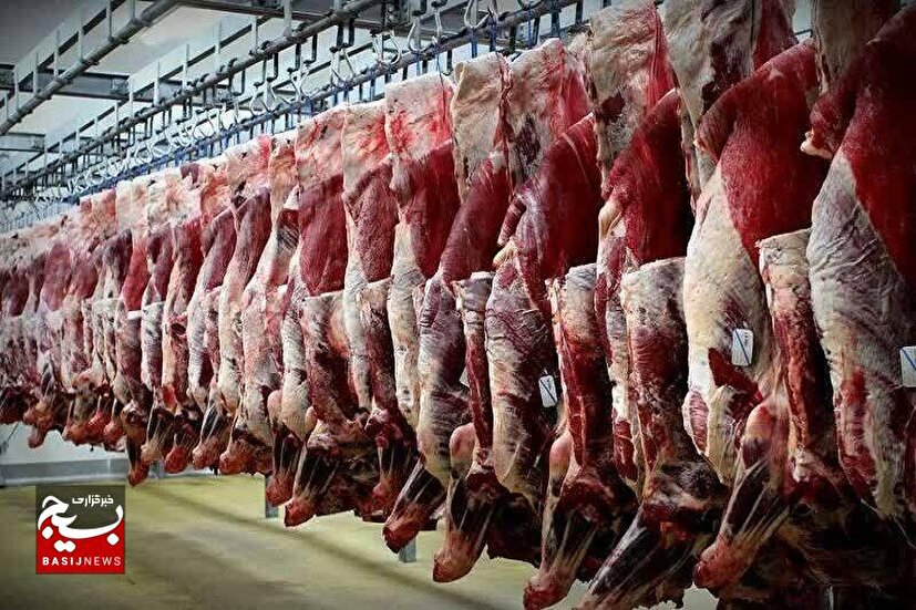 سیستان و بلوچستان به قطب تولید گوشت کشور تبدیل خواهد شد