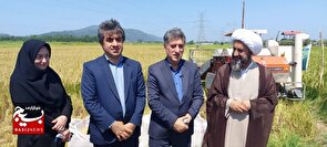 کشت ترکیبی و اشتغال‌زایی اولویت آینده است