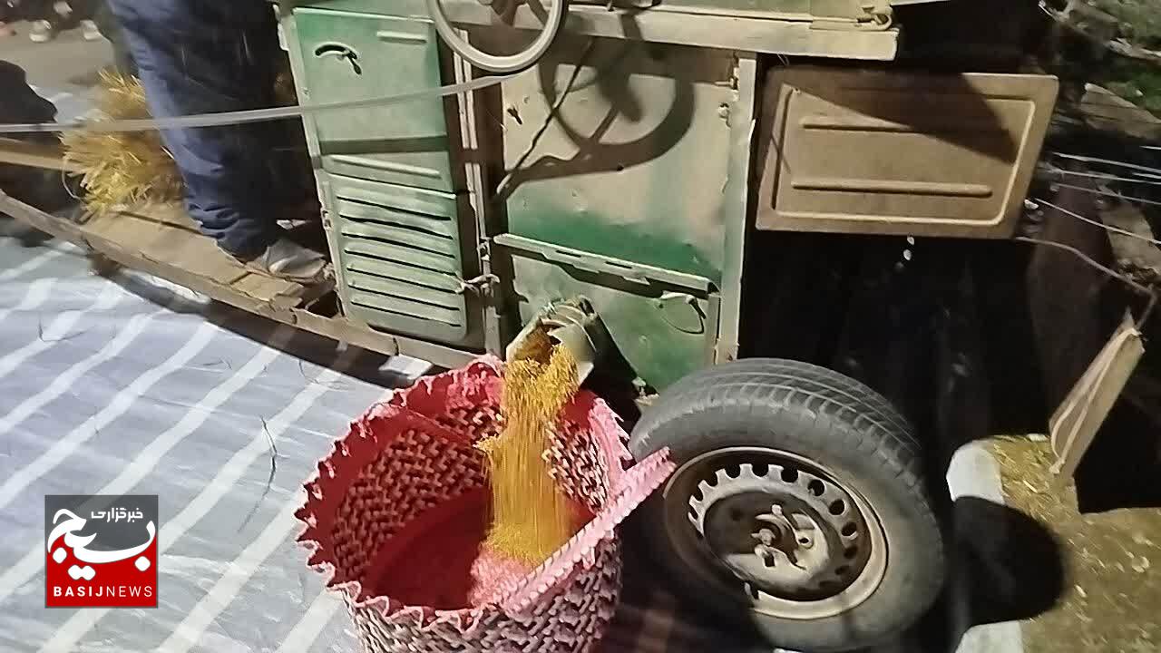نخستین جشنواره شکرانه برنج، در بندر کیاشهر برگزار شد