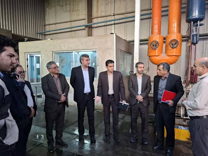 بازدید میدانی معاون پشتیبانی امور دام از سردخانه ایلام/آغاز عملیات بهینه‌سازی