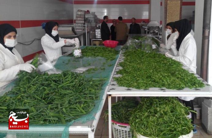 داستان پشتکار بانوی لرستانی/ بانویی که با سبزی‌های خردشده و بسته‌بندی آنها، زندگی‌ها را متحول کرد