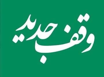 وقف جدید با نیت حمایت و توان‌بخشی از بیماران روانی مزمن در شاهرود