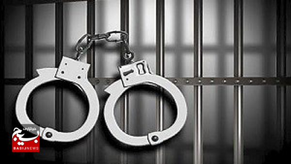 عامل حمله به مامور راهور در پارس‌آباد دستگیر شد