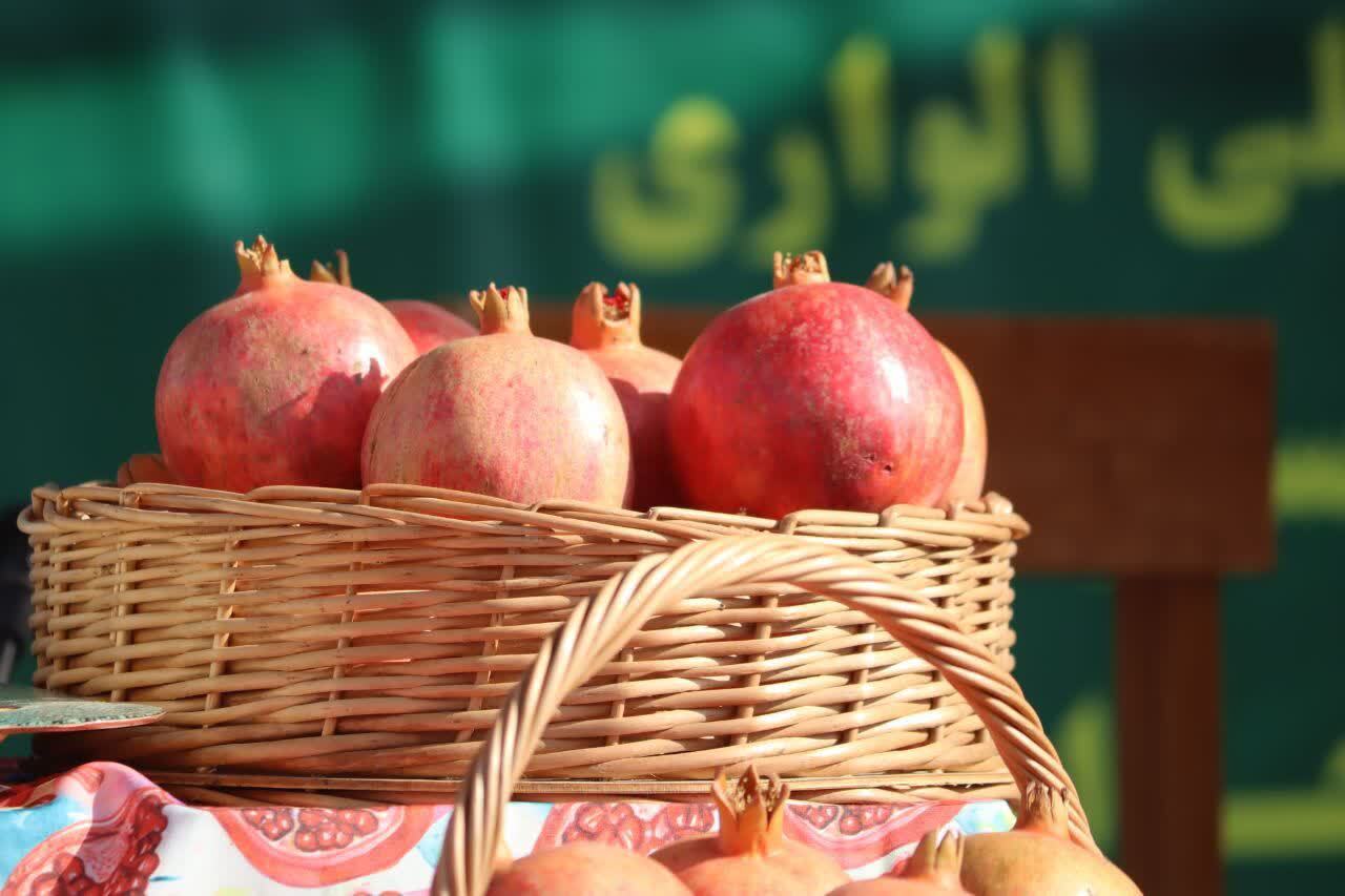 اینجا انارستان است/ وقتی خونِ زمین در انار می‌جوشد/ روایت عشق و عطش در باغ‌های کوهدشت