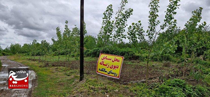 موفقیت در مدیریت پسماند حاصل فرهنگ‌سازی و فناوری است
