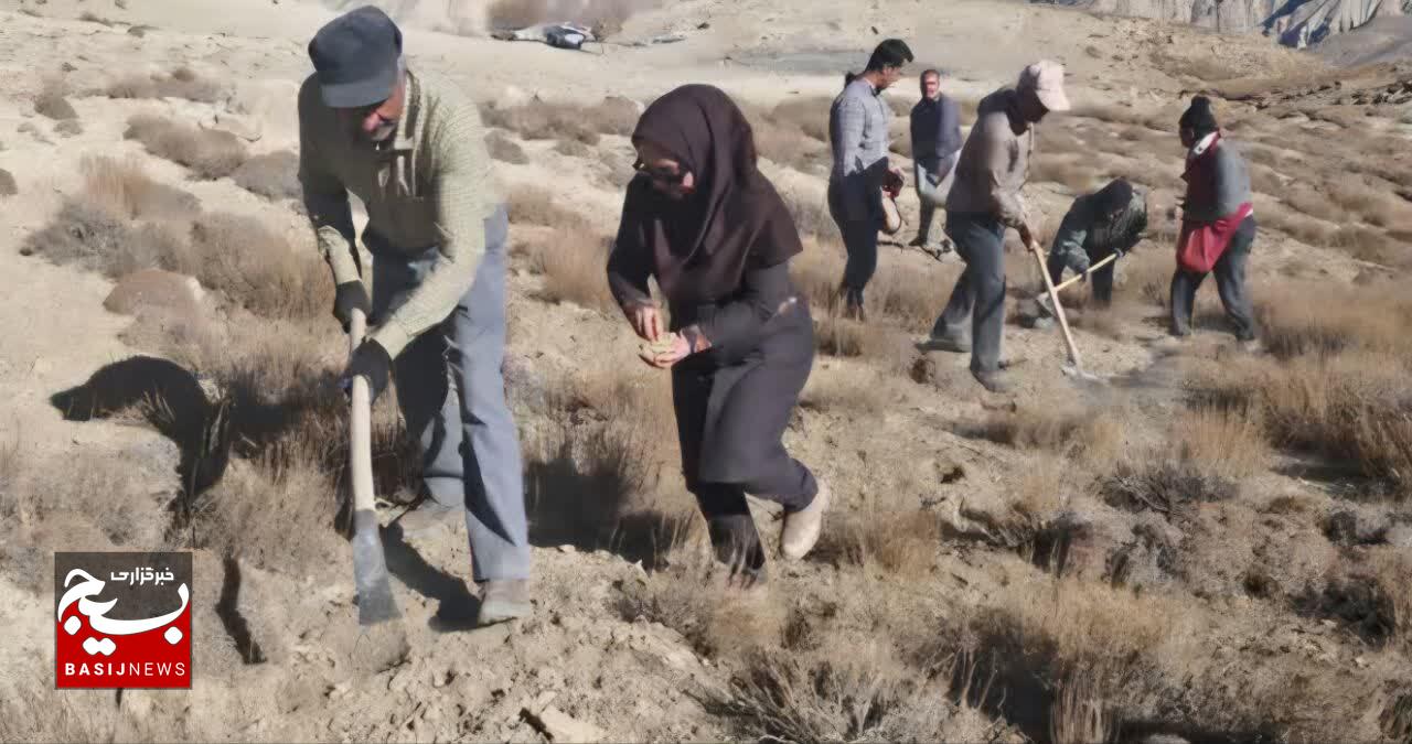 پویش کویر سبز در سطح ۱۰۰۰ هکتار در فصل پاییز سال‌جاری در استان سمنان