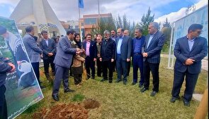 کاشت بیش از دو هزار اصله نهال در دانشگاه آزاد تاکستان به یاد شهدای جنگ رمضان 