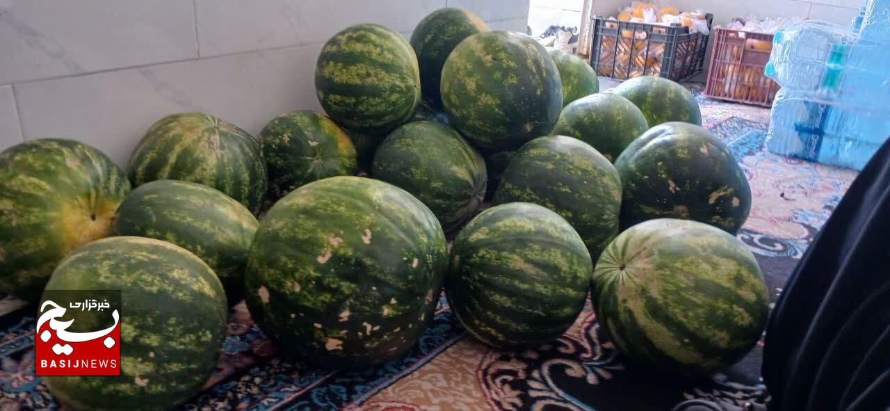 سومین محموله کمک‌های مردمی بسیج عنبرآباد راهی مناطق جنگ‌زده شد