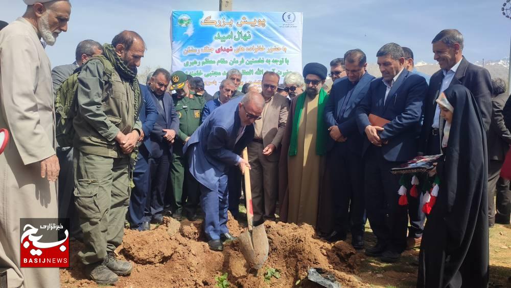 کاشت ۲۰ هزار نهال در کهگیلویه و بویراحمد آغاز شد