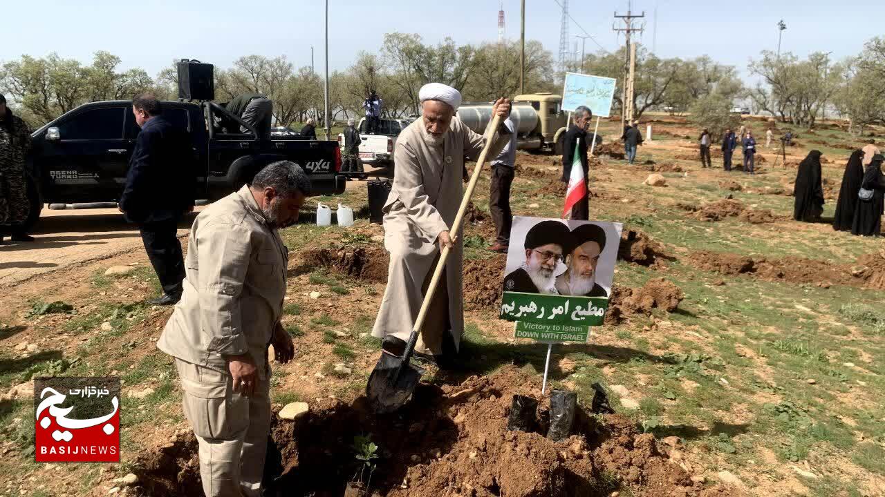 کاشت ۲۰ هزار نهال در کهگیلویه و بویراحمد آغاز شد