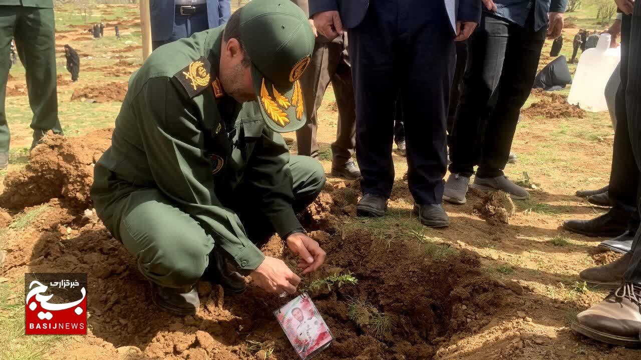کاشت ۲۰ هزار نهال در کهگیلویه و بویراحمد آغاز شد