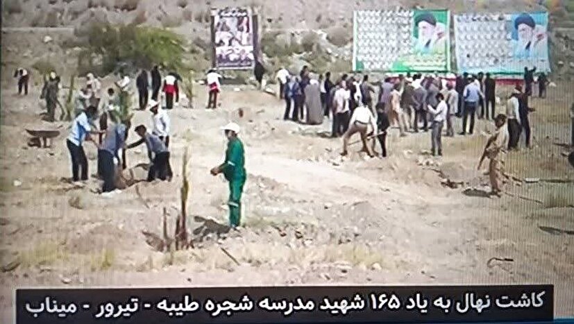 کاشت ۲۰۰ نخل در شهر تیرور میناب