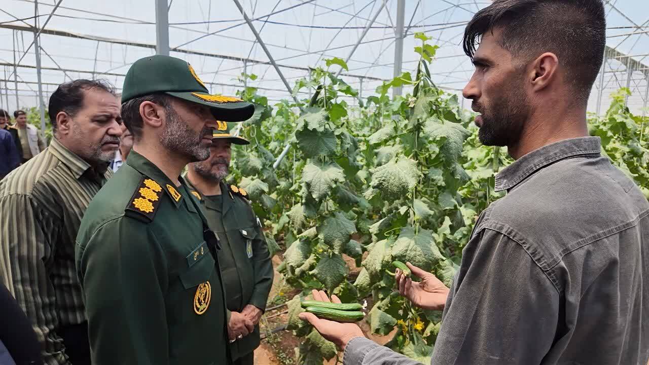 گلخانههای تولید صیفیجات، مصداق روشن اقتصاد مقاومتی و اشتغال پایدار هستند گلخانههای تولید صیفیجات، مصداق روشن اقتصاد مقاومتی و اشتغال پایدار هستند