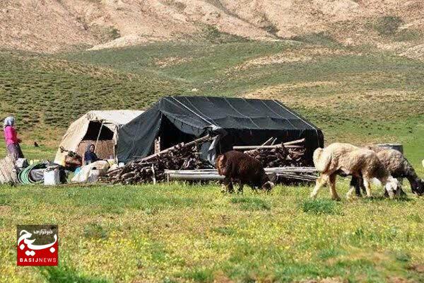 ۵ میلیون خانوار وابسته به مراتع کشور؛ مدیریت هوشمند تنها راه نجات