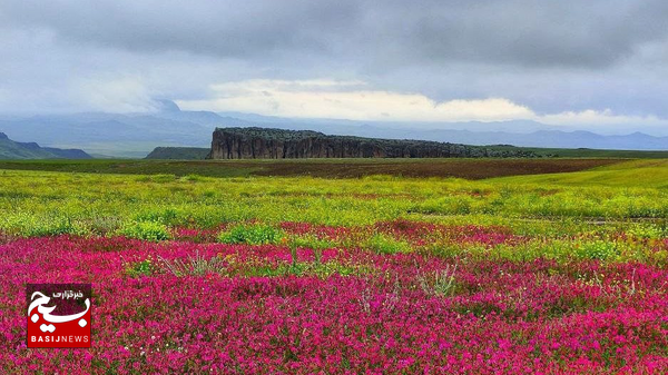داروخانهای در آغوشِ سبلان داروخانهای در آغوشِ سبلان