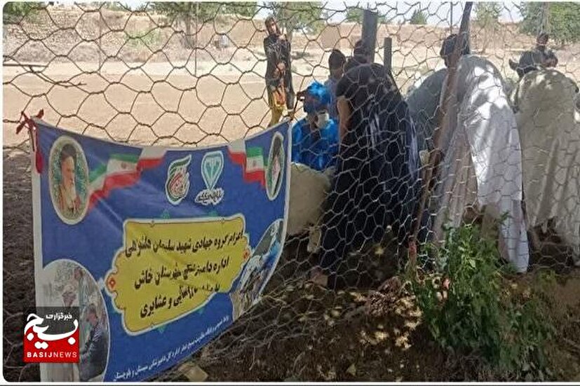 ارائه خدمات رایگان به دامداران در منطقه عشایری و روستای نعمت‌آباد خاش