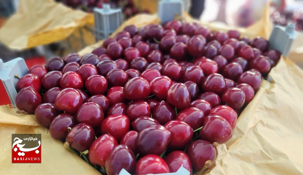 ششمین بازارچه بومی و محلی گیلاس فشند؛ حمایت مستقیم از باغداران و رونق اقتصاد روستایی + تصاویر ششمین بازارچه بومی و محلی گیلاس فشند؛ حمایت مستقیم از باغداران و رونق اقتصاد روستایی + تصاویر