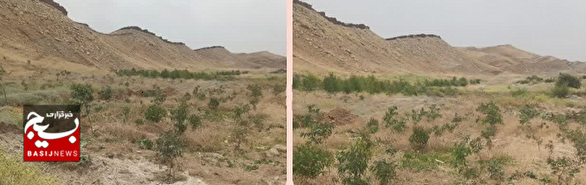 غرس چندین راس نهال در معدن سنگ لاشه دشت دنا رامهرمز
