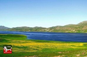 مجوزهای صید تالاب نئور با ملاحظات زیست‌محیطی صادر می‌شود
