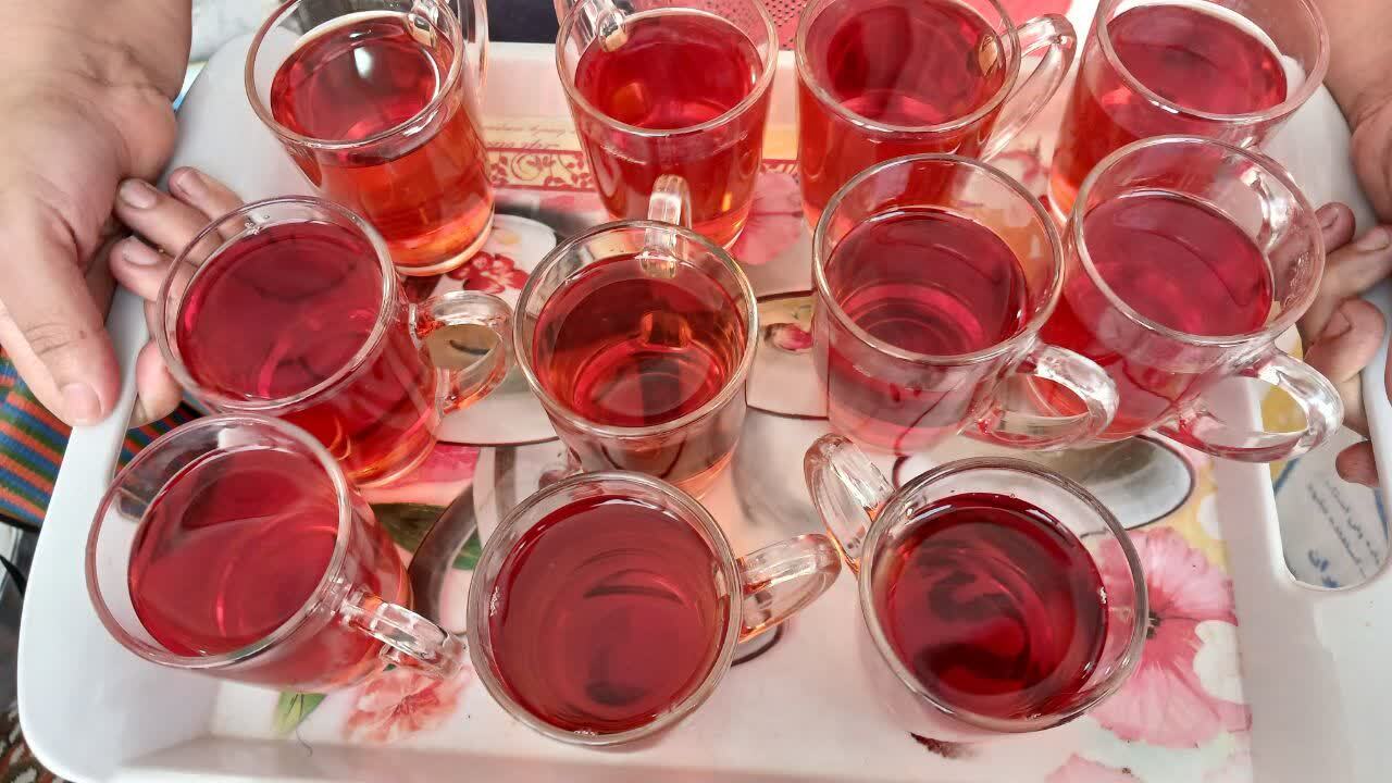 گزارشی از خدمات موکب امام حسن مجتبی (ع) شهرستان باشت در مشهد مقدس