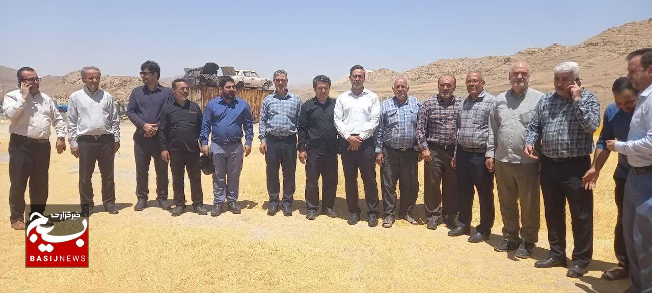 رشد ۵ درصدی خرید تضمینی گندم در قزوین