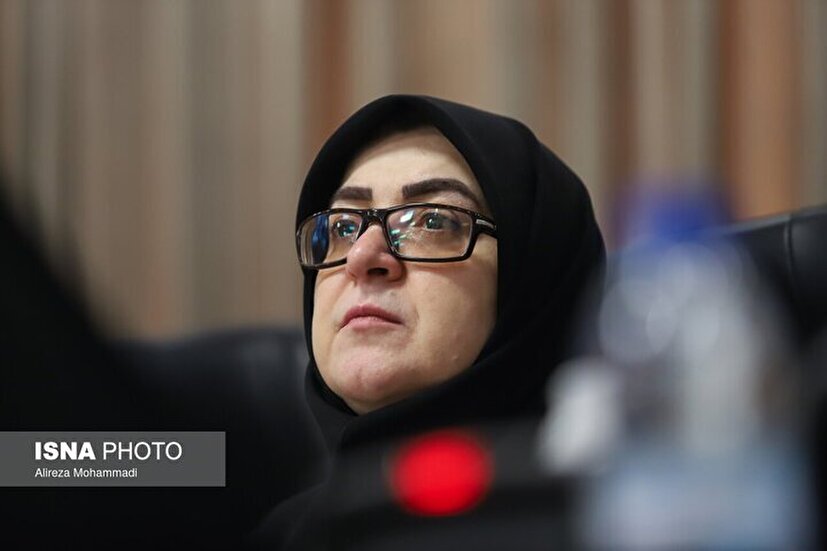 مهاجرانی: دولت با تمام توان به دنبال تأمین منابع لازم برای آغاز بازسازی است