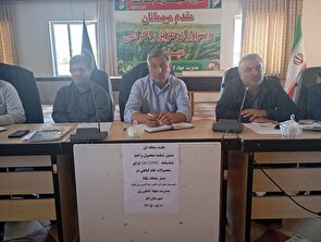 شناسنامه‌دار شدن محصولات کشاورزی، گامی بلند برای ارتقای سلامت، شفافیت و توسعه صادرات