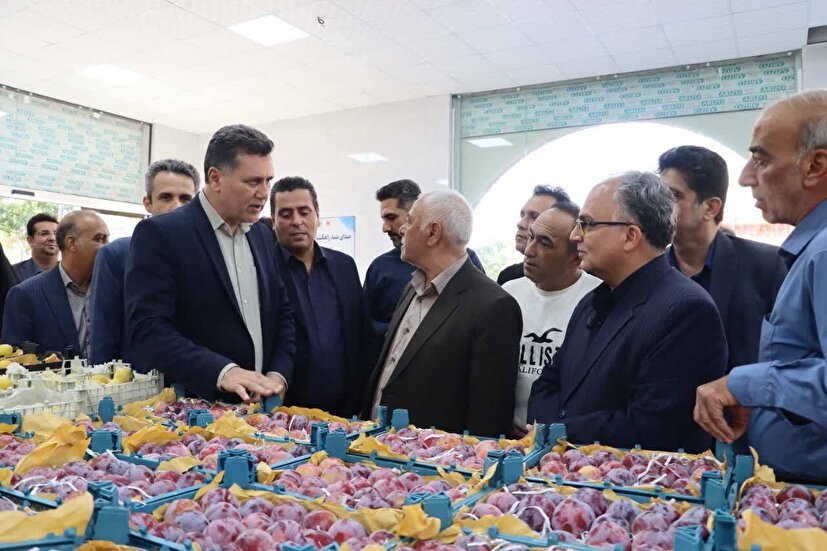  فرماندار سمنان: توسعه بازارچه‌های عرضه مستقیم در سمنان شتاب می‌گیرد